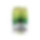 Westons Sweet Apple Cider 500ml